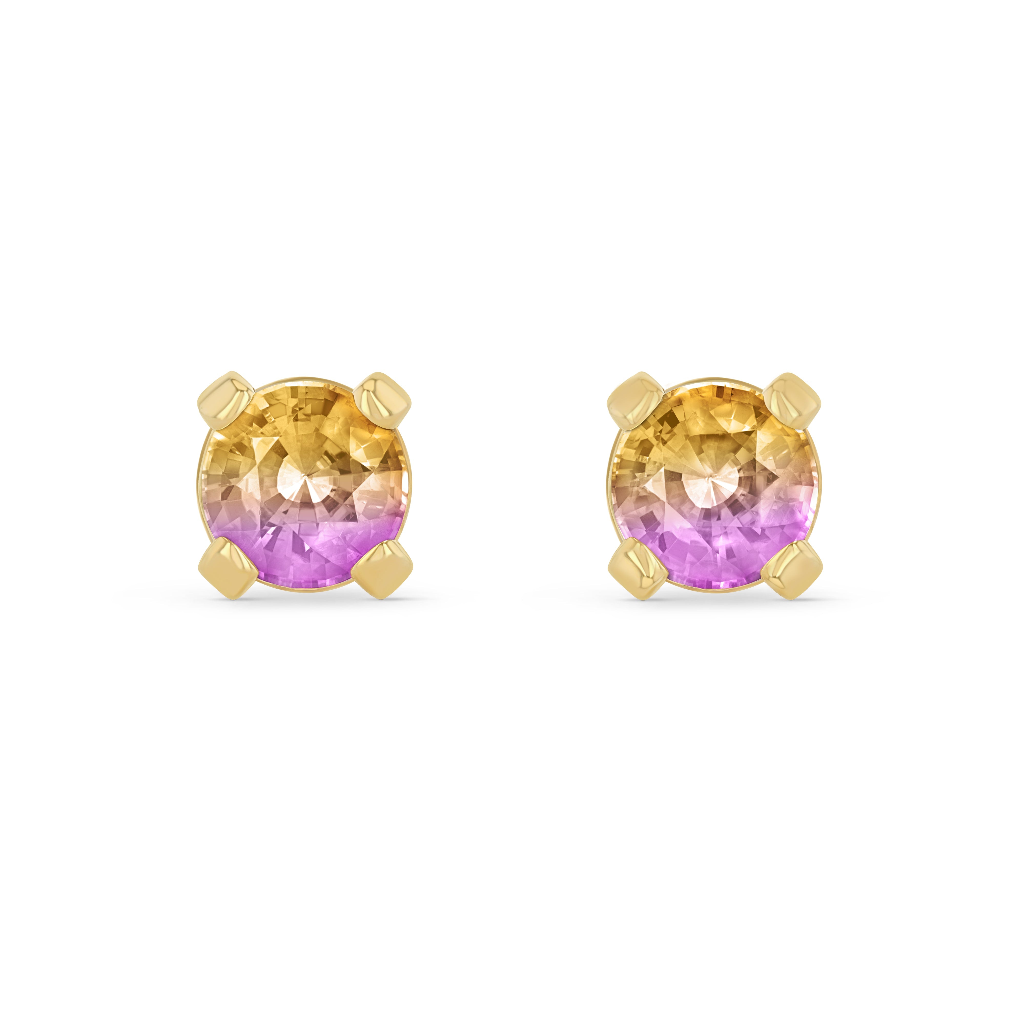 Ametrine Round Elemental Earrings